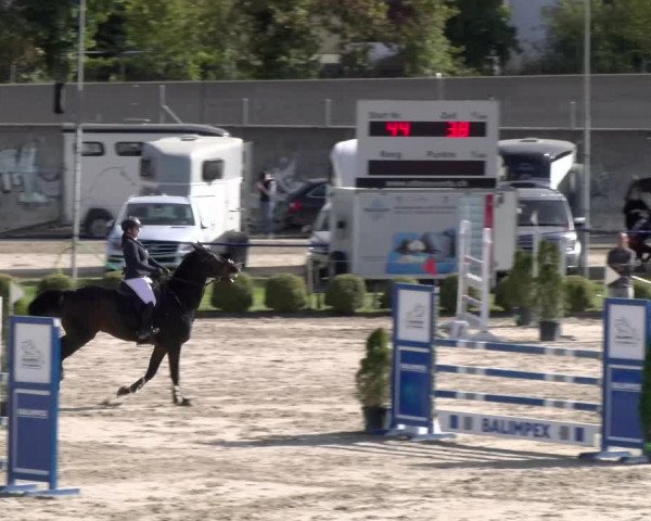 Reitturnier Basel 2023