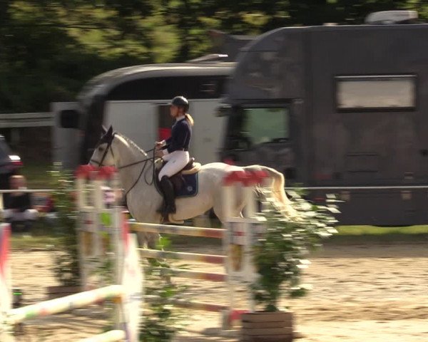 Reitturnier Heiligenwald 2023