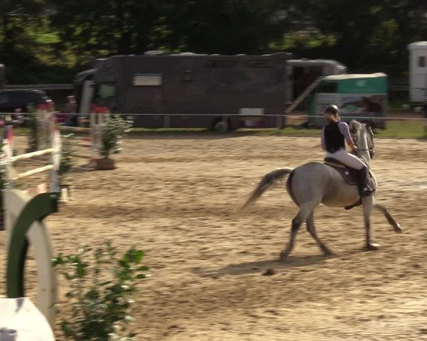 Reitturnier Heiligenwald 2023