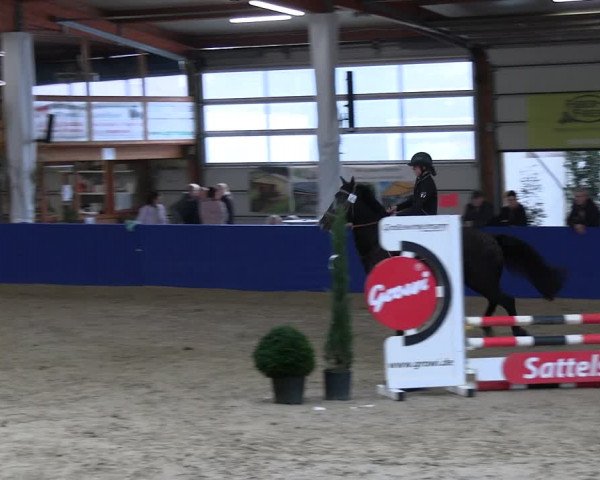 Reitturnier Isterberg 2023