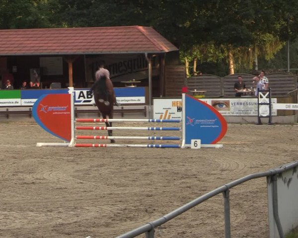 Reitturnier Lgl.-Oberhain, B95 2021