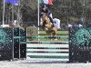 jumper Champagne D'Ar Cus (French Pony, 2012, from Machno Carwyn)