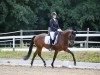 Springpferd Lauryn's Pride AP (Österreichisches Warmblut, 2010, von Samba Hit I)