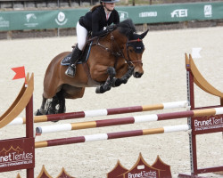 jumper Gemini de Lalande (French Pony, 2016, from Bamby de la Tour)