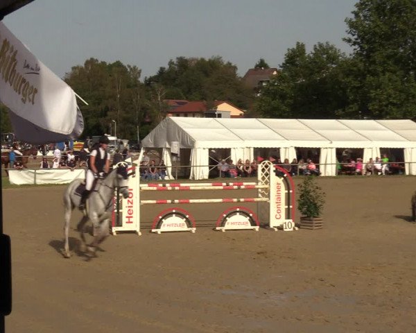 Reitturnier Heiligenwald 2023