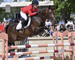 jumper Evye Quatre Saisons (French Pony, 2014, from Copin van de Broy)