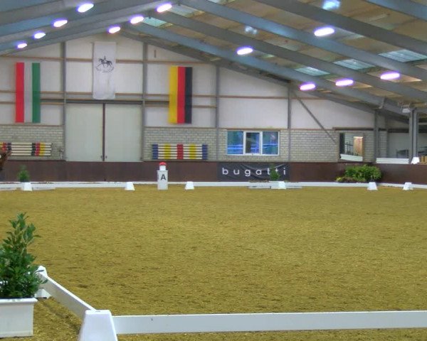 Reitturnier Bottrop-Kirchhellen 2023