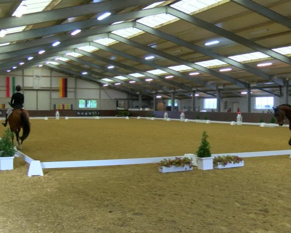 Reitturnier Bottrop-Kirchhellen 2023