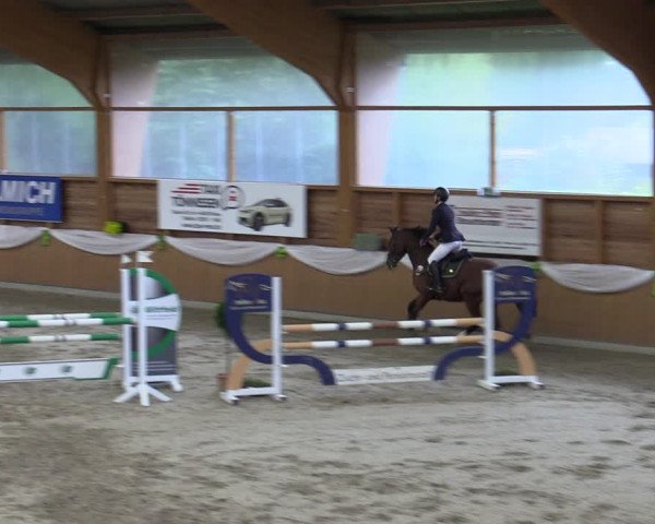 Reitturnier Xanten - Reitanlage Miss 2023