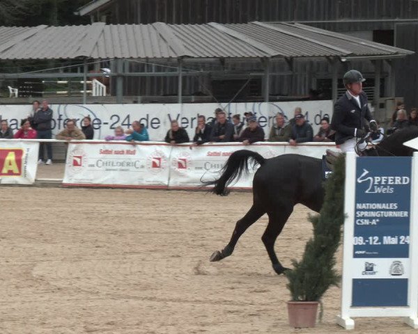 Reitturnier Ranshofen - Braunau am Inn 2023
