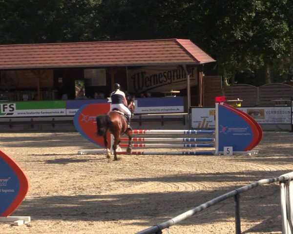 Reitturnier Lgl.-Oberhain, B95 2021