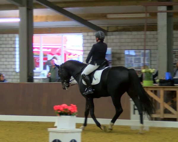 Reitturnier Bottrop-Kirchhellen 2023