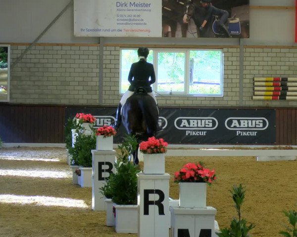 Reitturnier Bottrop-Kirchhellen 2023