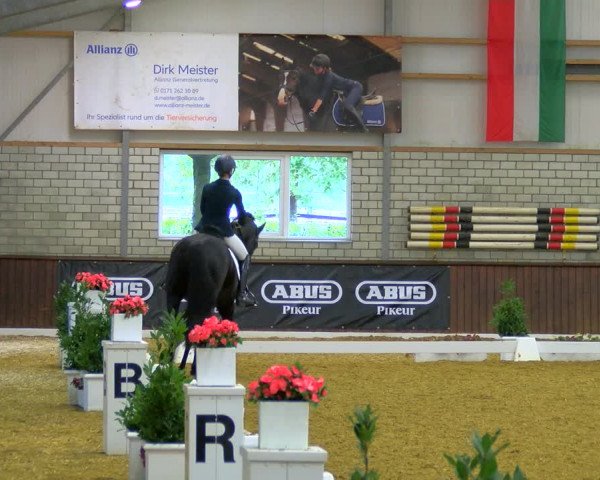 Reitturnier Bottrop-Kirchhellen 2023