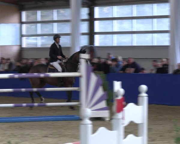 Reitturnier Isterberg 2023