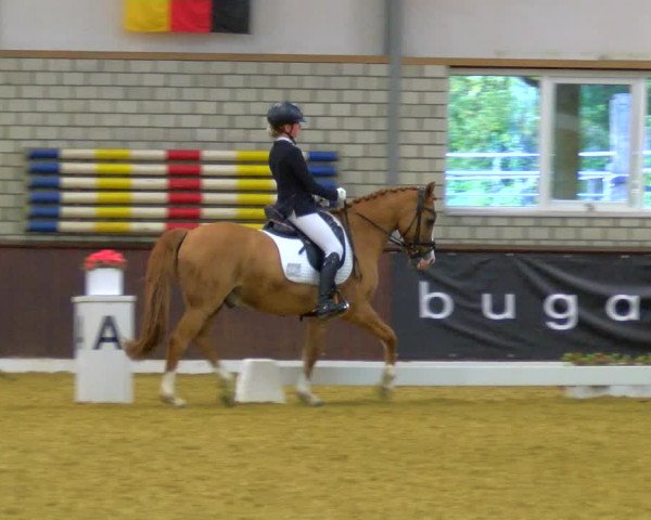 Reitturnier Bottrop-Kirchhellen 2023
