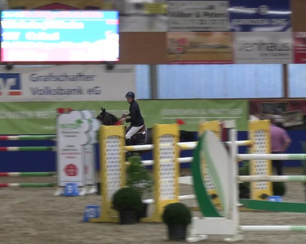 Reitturnier Isterberg 2023