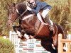 stallion Kay Epona (Selle Français, 1987, from Major de la Cour)