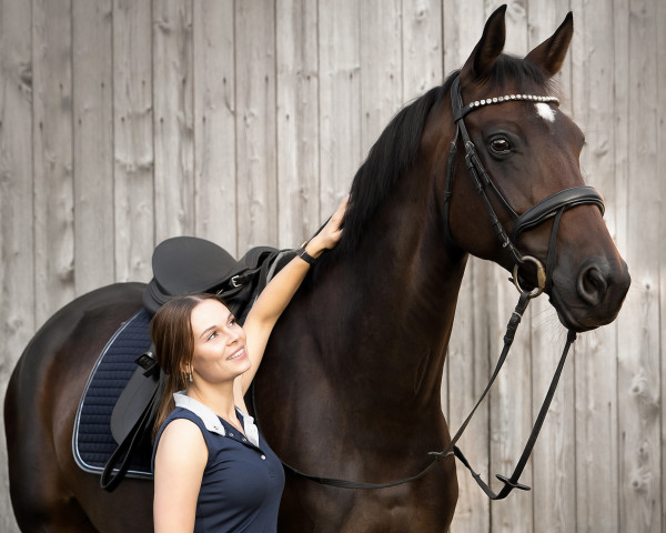 dressage horse Queen of Hope (Oldenburg, 2011, from Quarterline)
