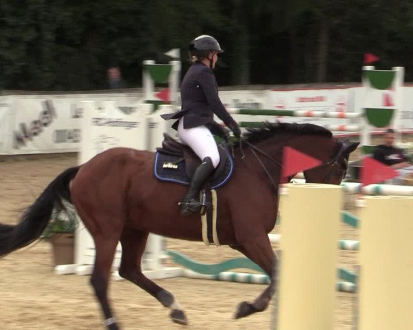 Reitturnier Ranshofen - Braunau am Inn 2023