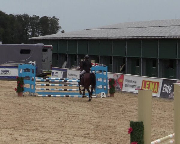 Reitturnier Ranshofen - Braunau am Inn 2023