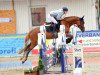 jumper Libell 33 (German Sport Horse, 2018, from Los del Rio)