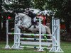 jumper Chica (German Sport Horse, 2009, from Collini's Boy)