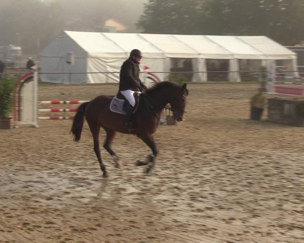 Reitturnier Heiligenwald 2023