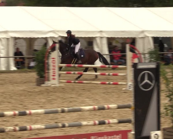 Reitturnier Heiligenwald 2023
