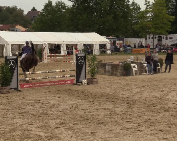 Reitturnier Heiligenwald 2023