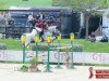 jumper Aconell 2 (German Sport Horse, 2008, from Aconito 5)