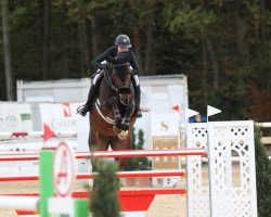 broodmare Cordessa's Reve (Oldenburg show jumper, 2013, from Cordess 2)