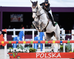 jumper Callisto KS (Swedish Warmblood, 2013, from Cabachon)