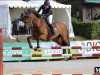 jumper Czarina Jmen (Brazilian horse, 2008, from Clavigo)