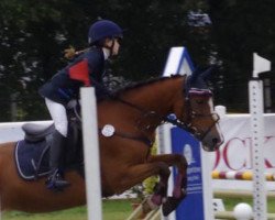 jumper Kandy 37 (German Riding Pony, 1993, from Liverpool)