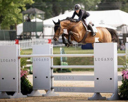 jumper Jesprit H.s (KWPN (Royal Dutch Sporthorse), 2014, from Eldorado vd Zeshoek Tn)