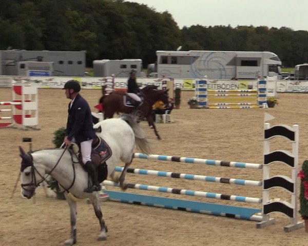 Reitturnier Ranshofen - Braunau am Inn 2023
