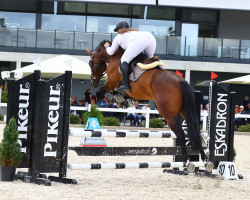 Springpferd Kadi Vom Kappensand CH (Schweizer Warmblut, 2017, von Kannan Jd)