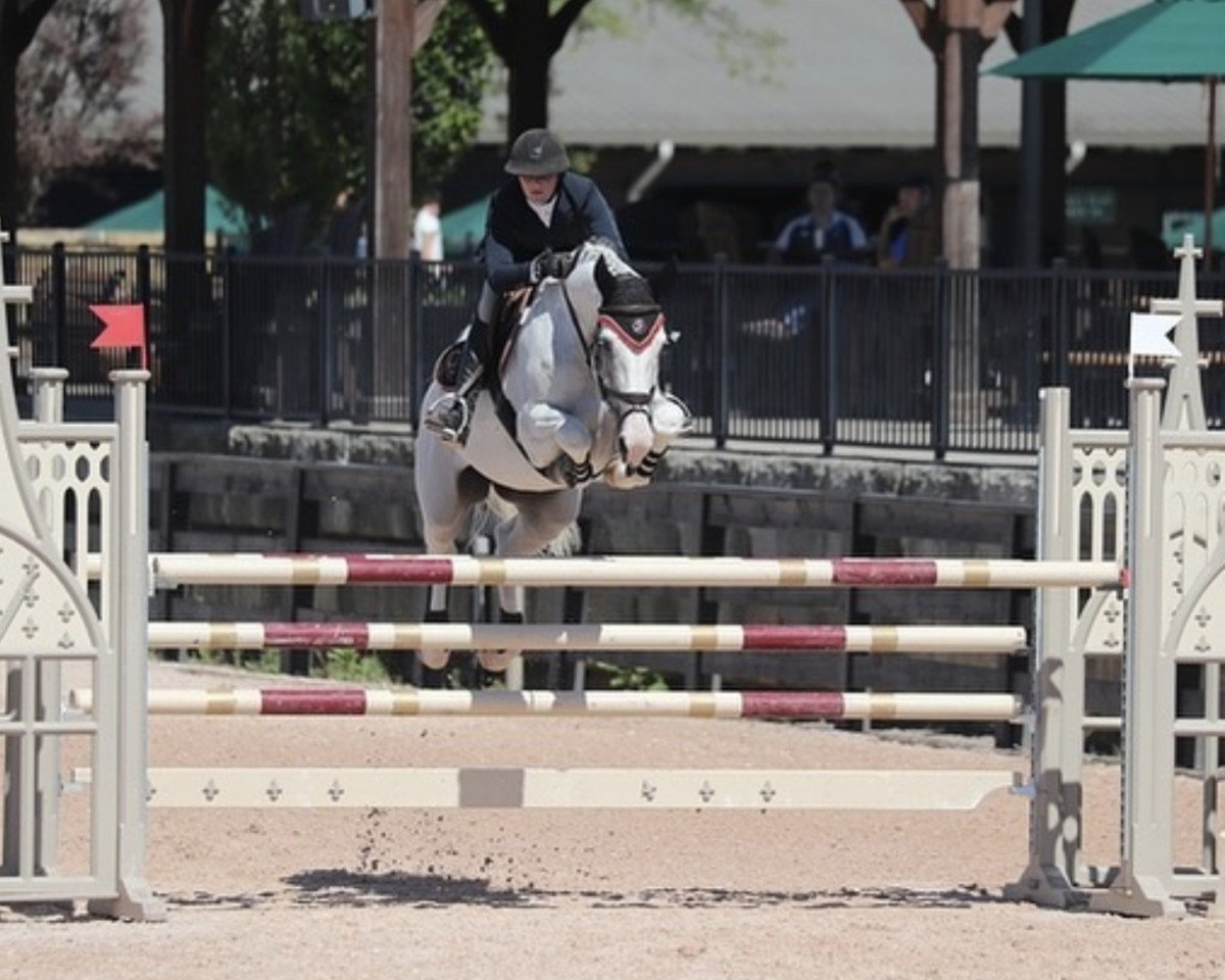 Springpferd Iomare de L'Esku (Belgisches Warmblut, 2008, von Berlin)