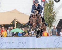 stallion Moncler van Overis (Belgian Warmblood, 2012, from Kannan)