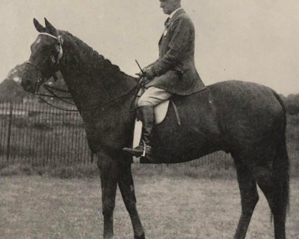 horse Royal Command (unknown, 1949, from Fair Play xx)