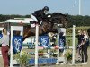 dressage horse Cardinal G (German Sport Horse, 2013, from Contenaro)