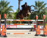 jumper Fiori Ls (Sporthorse La Silla, 2009, from Riscal la Silla)