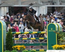 jumper Explosion Vh Legita Hof Z (Zangersheide riding horse, 2013, from Elvis Ter Putte)