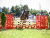 jumper Colderon (Oldenburg show jumper, 2015, from Chaccato)