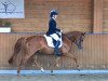 broodmare Melitta 13 (German Riding Pony, 2019, from Dallmayr K)