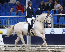 dressage horse Calypso San WE (German Riding Pony, 2019, from Cayuga San WE)