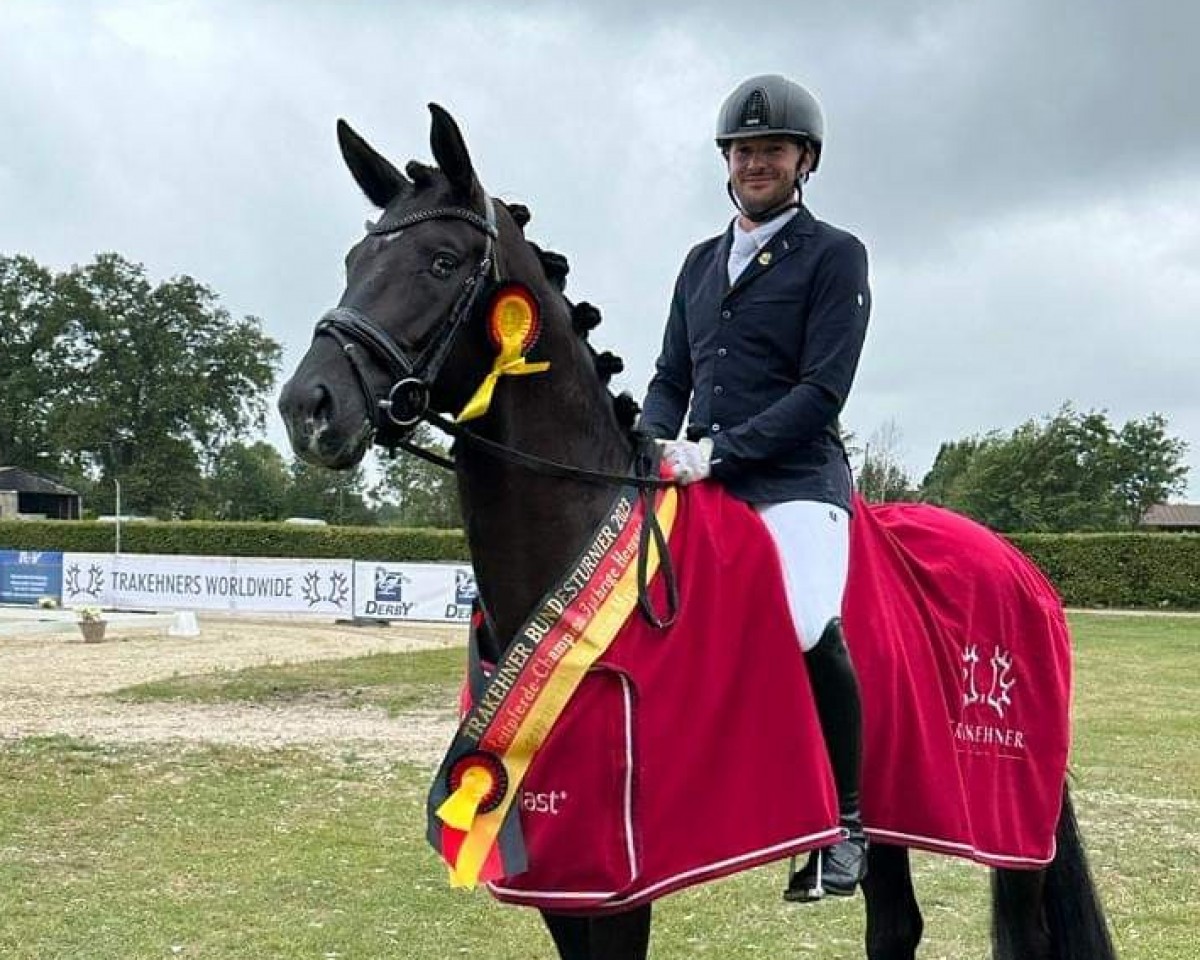 stallion Hirtenstern (Trakehner, 2020, from Hirtentanz 2)