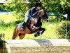 jumper Adelie 3 (German Riding Pony, 2015, from Topolino)