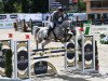 jumper Agassi 22 (German Sport Horse, 2017, from Askari)